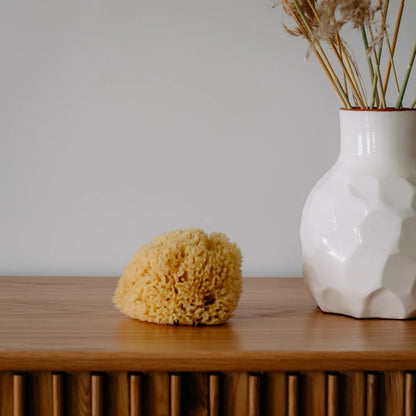 Sea Sponge - All Natural