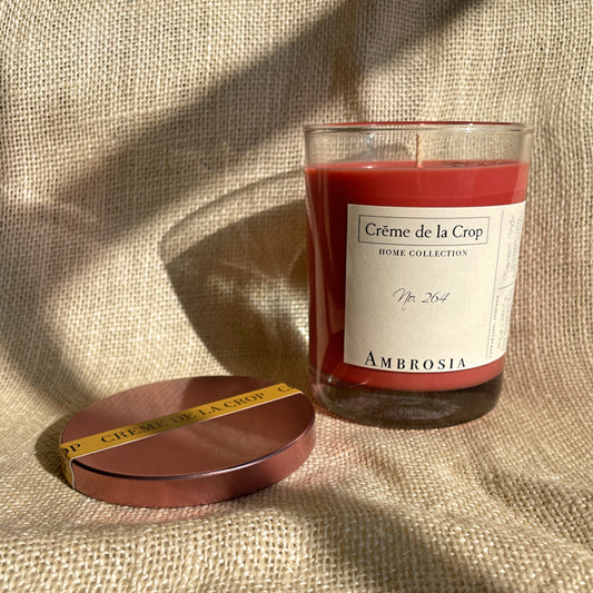 Soy Candle - Ambrosia Fruity Cranberry Apple Candle with Clove & Cinnamon Essential Oils