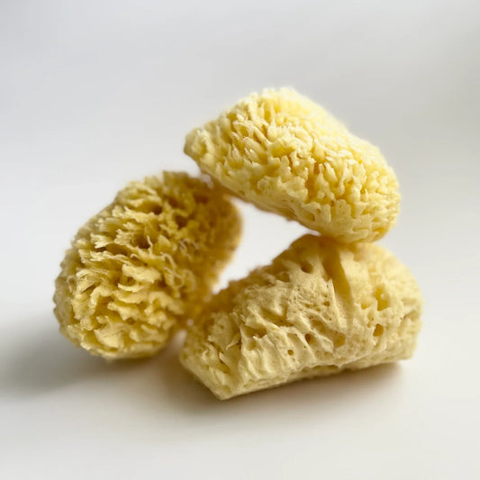 Natural Sea Sponge – Eco‑Friendly Bath Sponge from Mexico & the Caribbean | Soft, Sustainable & Infant‑Safe