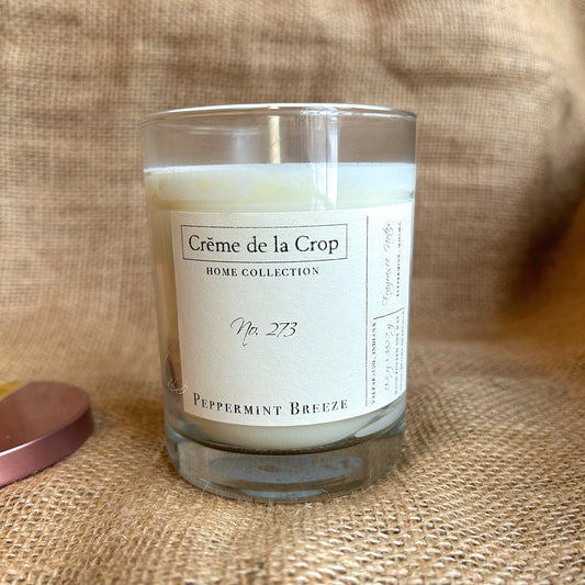 Soy Candle - Peppermint Breeze Cool Peppermint & Mocha Winter Candle